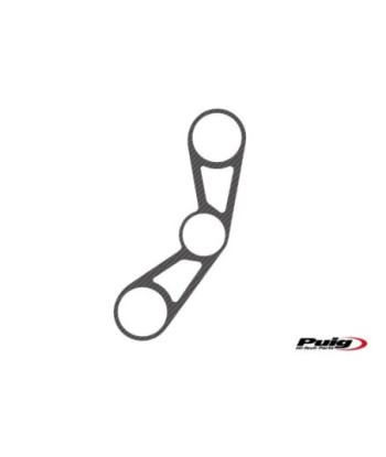 PROTECTOR TIJA CARBONO BMW S1000RR 10-13'