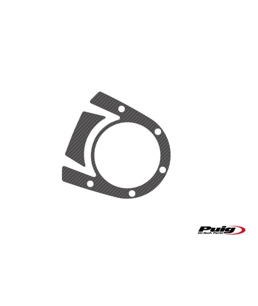 PROTECTOR TIJA CARBONO DUCATI DIAVEL 11-18'