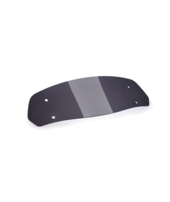 VISERA SUELTA MULTIREGULABLE UNIVERSAL 313X100MM C