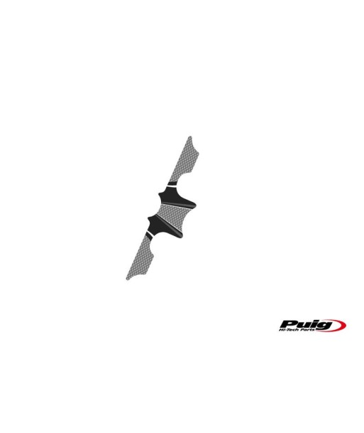 PROTECTOR TIJA BMW R1100GS 94-99/1150GS 99-04