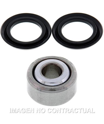 Kit de revisión amortiguador trasero All Balls 29-1011