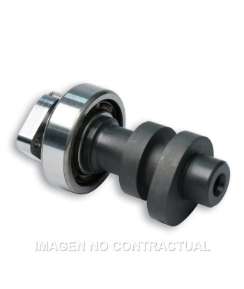 Árbol De Levas Malossi Power Cam Honda SH 300