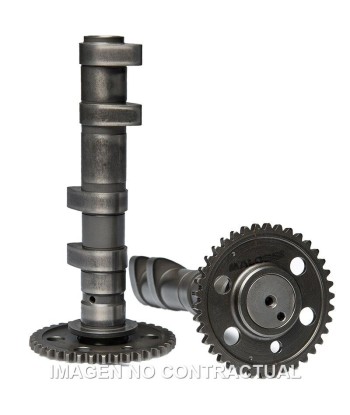 Arbol de levas doble Malossi Yamaha T-Max 560