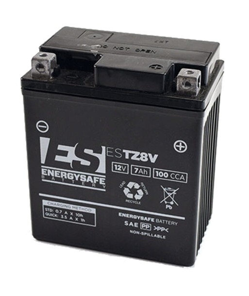 Batería EnergySafe ESTZ8-V Precargada