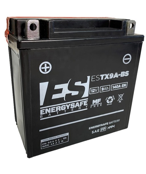 Batería Energysafe ESTX9A-BS Sin mantenimiento