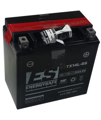 Batería Energysafe ESTX14L-BS Sin Mantenimiento