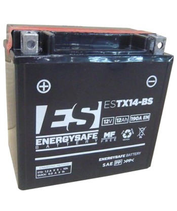 Batería Energysafe ESTX14-BS Sin Mantenimiento