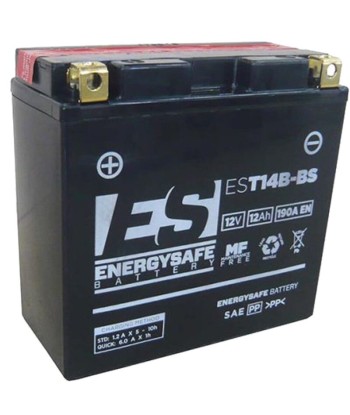 Batería Energysafe EST14B-BS Sin Mantenimiento