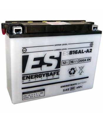 Batería Energysafe ESB16AL-A2 Convencional