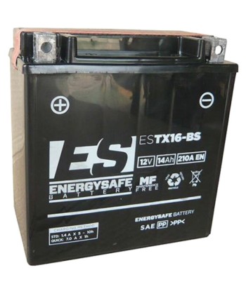 Batería Energysafe ESTX16-BS Sin Mantenimiento