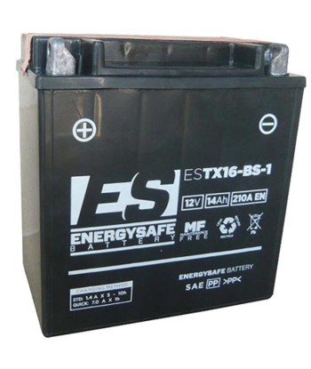 Batería Energysafe ESTX16-BS-1 Sin Mantenimiento