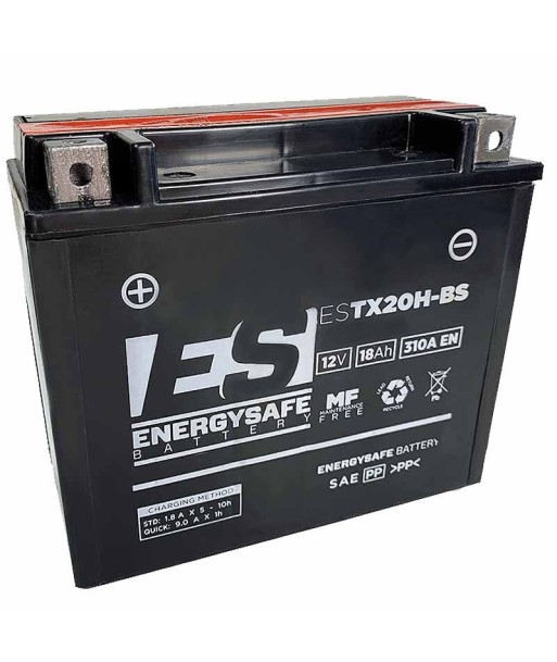 Batería Energysafe ESTX20H-BS Alto Rendimiento