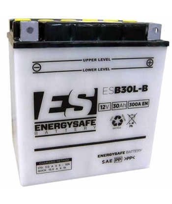 Batería Energysafe ESB30L-B Convencional