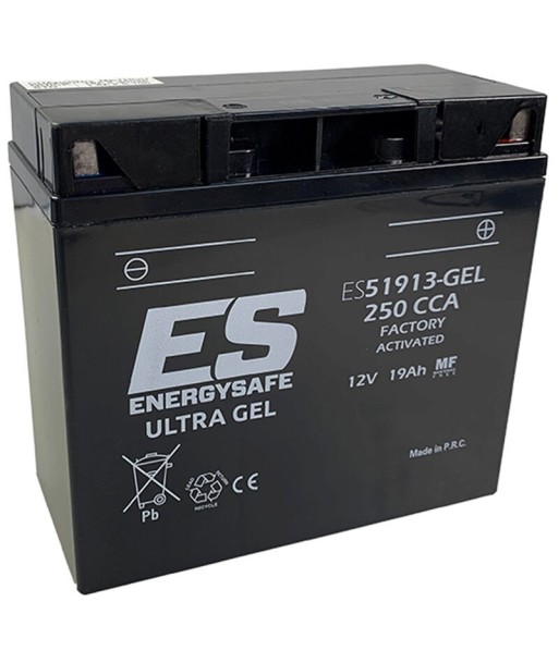 Batería Energysafe ES51913 GEL