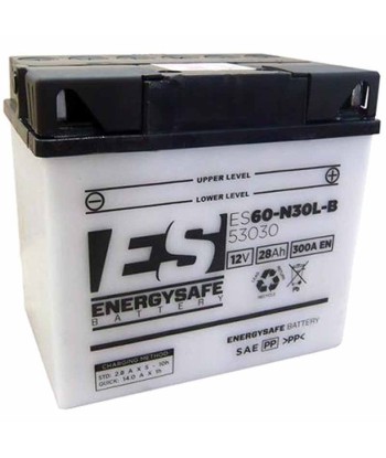 Batería Energysafe ES53030 Convencional