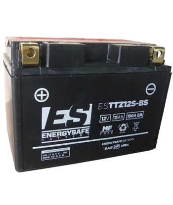 Batería Energysafe ESTTZ12S-BS Sin Mantenimiento