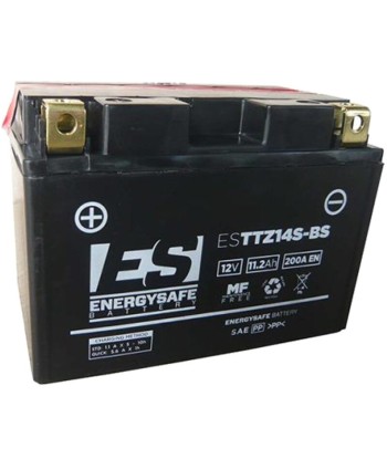 Batería Energysafe ESTTZ14S-BS Sin Mantenimiento