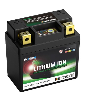Batería litio Skyrich LFP01