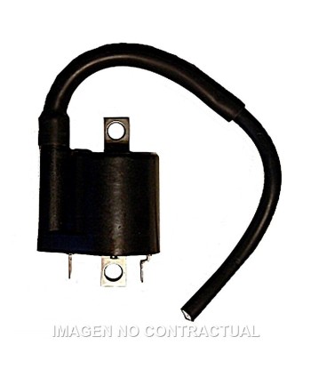 Bobina Yamaha Xmax 125/250/400 12V - 3 OHM - 2 FASTONS - CON CABLE 20CM