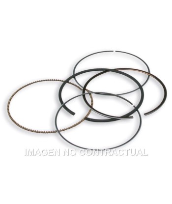 Segmentos D. 75,5 mm