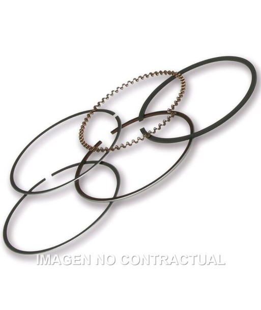 SEGMENTOS MALOSSI D.49 PIAGGIO LIBERTY 50 IGET