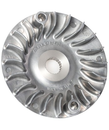 SEMIPOLEA VENTILVAR MALOSSI PIAGGIO LIBERTY IGET