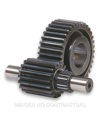 Desarrollo Secundario 14/43 Majesty 125