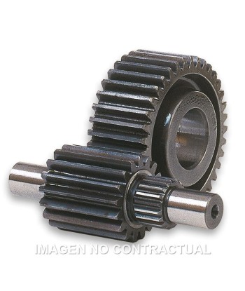 Desarrollo secundario HTQ 15/47 Dientes