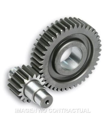 Desarrollo Secundario Piñón 16 Eje Sec 42 VX, VXR