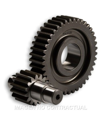 Desarrollo Secundario HTQ 15/41 Motor Leader