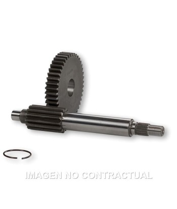 Desarrollo Primario HTQ 15/38 Piaggio NRG MC-3