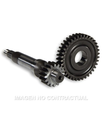 Desarrollo Largo Piaggio Zip SP Zip Fast Rider 95