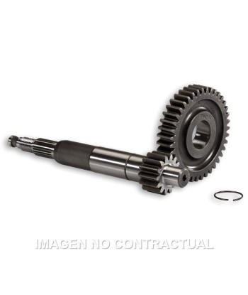 Desarrollo Primario Largo Gilera Runner