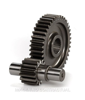 Desarrollo Secundario Runner 125