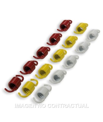 Muelles Embrague original Malossi BMW C 600 Sport