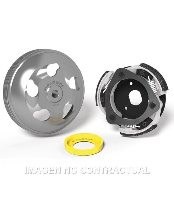 Embrague Maxi Fly System Malossi Honda Forza 125 ABS