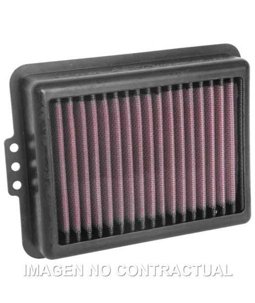 Filtro aire K&N BMW F 750 GS