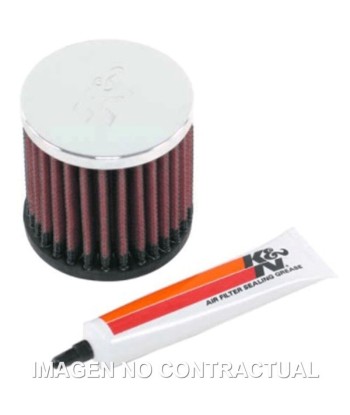 Filtro aire K&N HONDA CR 100 F (03/09)