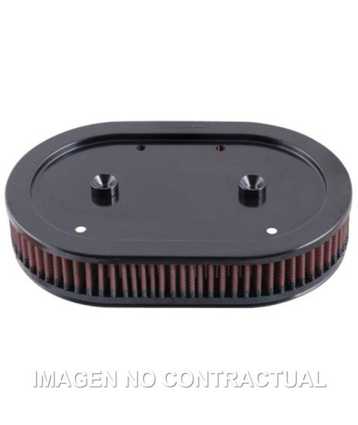 Filtro aire K&N Harley Davidson Sporster Eaglet