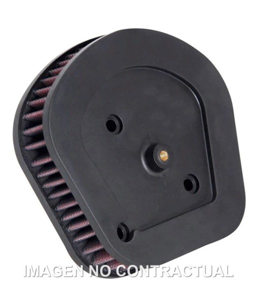 Filtro aire K&N Harley Davidson FLSL Softail Slim