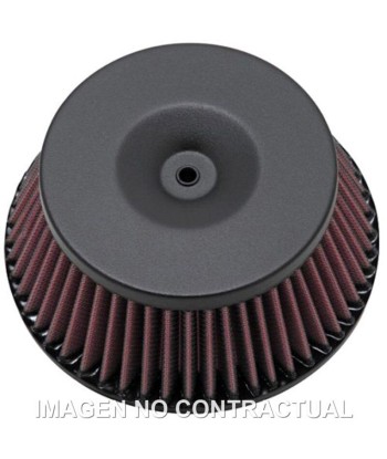 Filtro aire K&N Kawasaki KLX 300