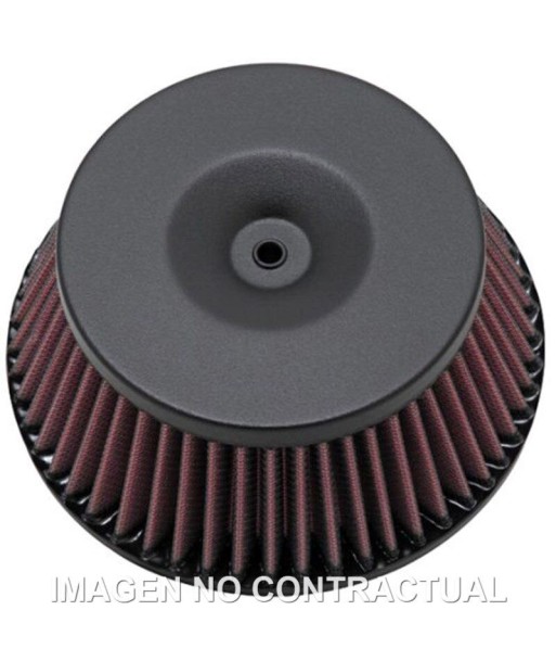 Filtro aire K&N Kawasaki KLX 300