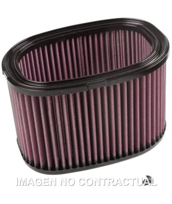 Filtro aire K&N Kawasaki KVF 750 Brute Force