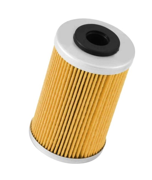 Filtro aceite K&N KTM EXC 450