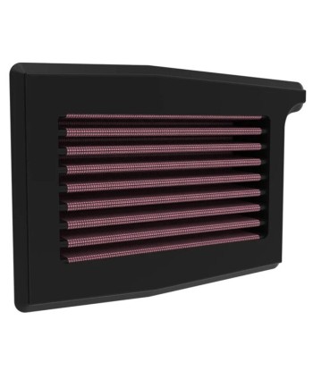 Filtro aire K&N Triumph Trident 660