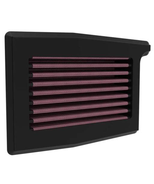 Filtro aire K&N Triumph Trident 660