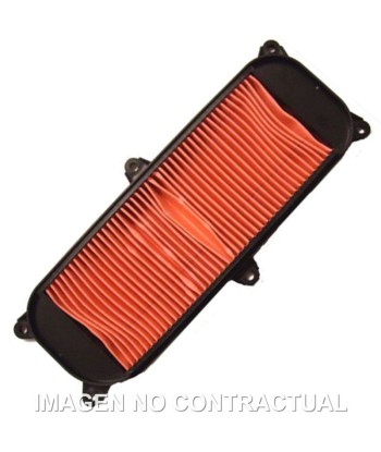 Filtro aire Meiwa Kymco People S 250