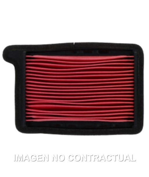 Filtro aire Meiwa TRIUMPH TIGER SPORT 660 (22)