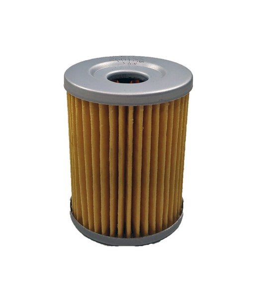 Filtro aceite SGR Suzuki Burgman 250
