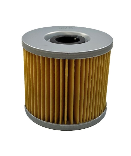 Filtro aceite SGR Suzuki GST 250